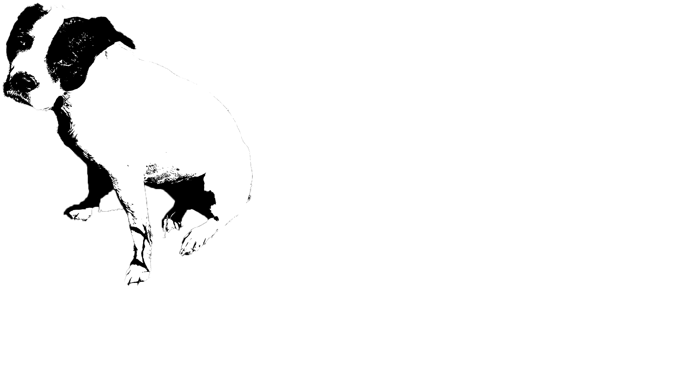 Tonks Records